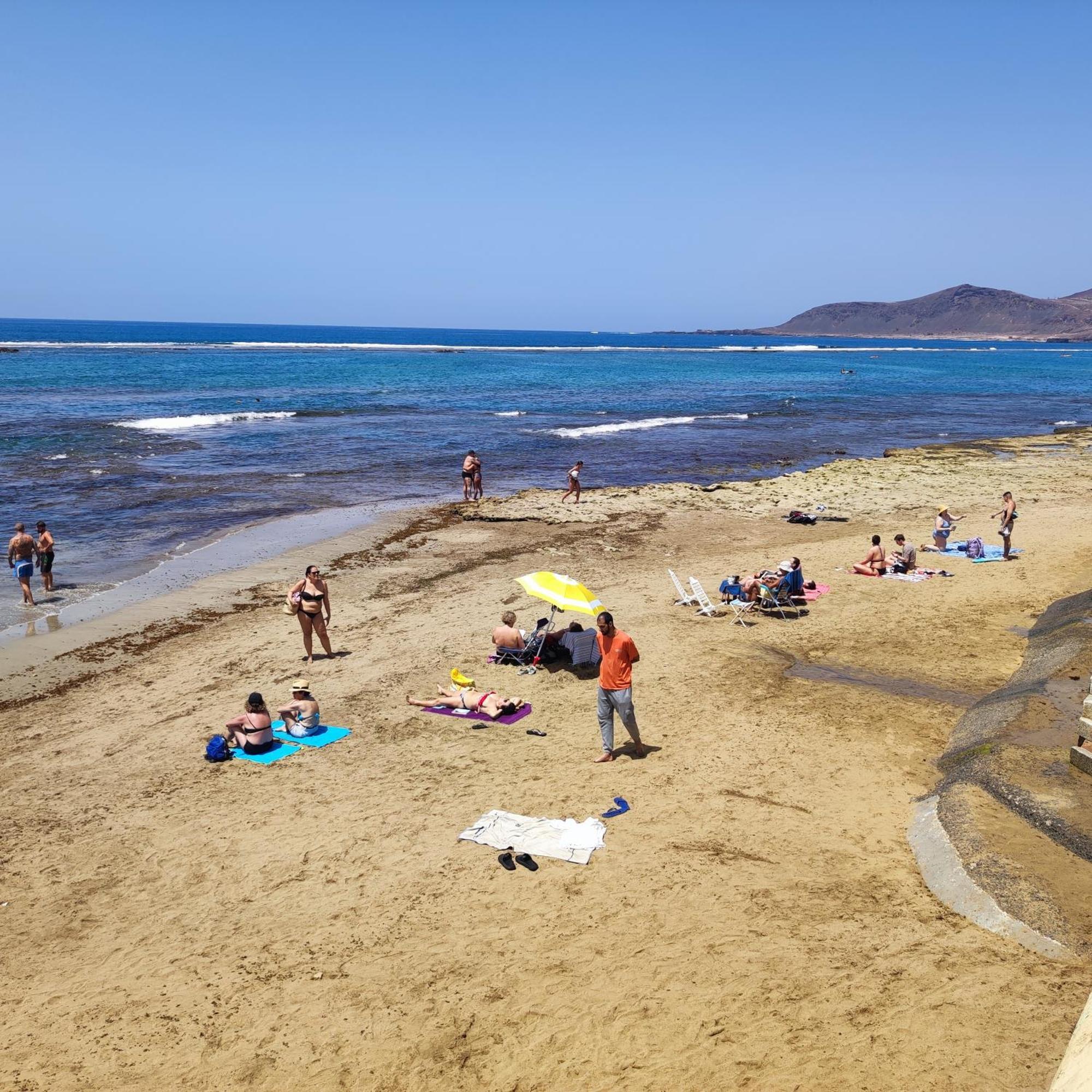 Mirlo Canteras Las Palmas de Gran Canaria Bagian luar foto